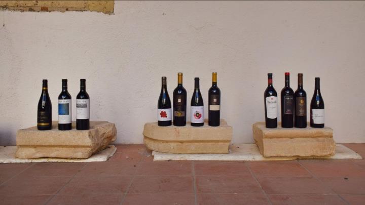 7a edició de L’Espectacle: Vins Negres Penedès