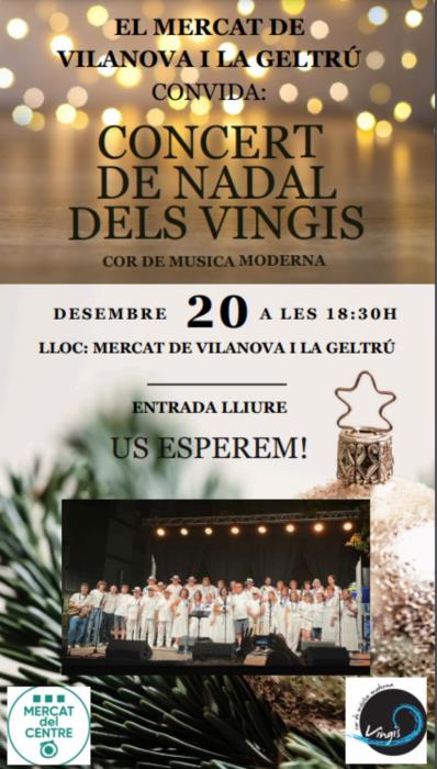 Concert de Nadal dels Vigis