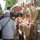 Diada de Sant Jordi a Vilanova i la Geltrú