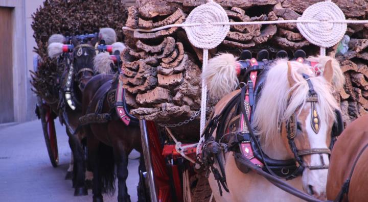 Festa Major d'Hivern dels Tres Tombs 