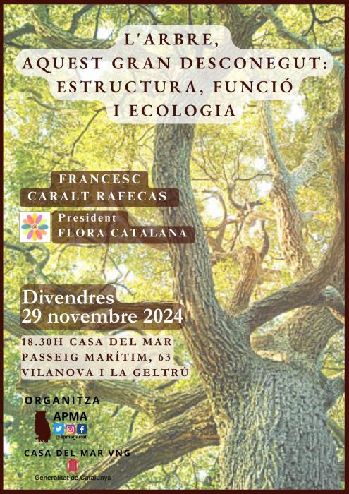 L'arbre, aquest gran desconegut: estructura, funció i ecologia