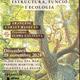 L%27arbre%2c+aquest+gran+desconegut%3a+estructura%2c+funci%c3%b3+i+ecologia