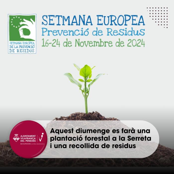 Plantació forestal a la Serreta