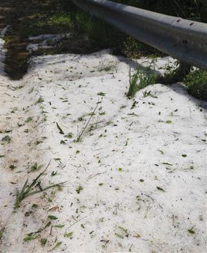 Aiguats i calamarsa sorprenen el Penedès aquest dissabte