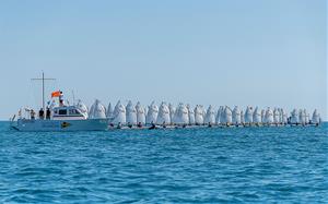 Campionat de Catalunya d’Optimist 