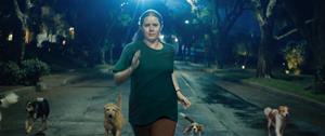 ‘Canina (Nightbitch)’ amb Amy Adams . EIX