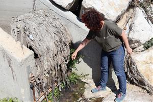 Centenars de tovalloletes s'acumulen al riu Anoia després de les darreres pluges . ACN