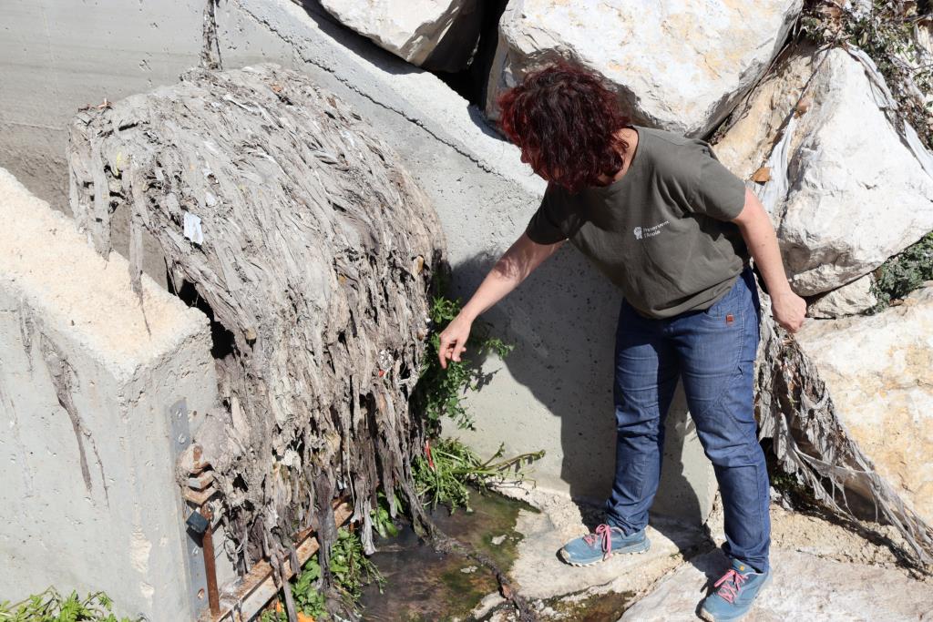 Centenars de tovalloletes s'acumulen al riu Anoia després de les darreres pluges . ACN