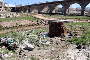 Centenars de tovalloletes s'acumulen al riu Anoia després de les darreres pluges 