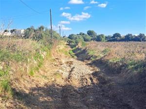 Comencen les obres d'arranjament del camí de l'avinguda del Terme de Vilanova
