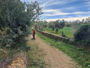 Comencen les obres d'arranjament del camí de l'avinguda del Terme de Vilanova