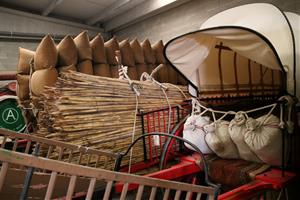 Creen una guia per garantir el benestar dels animals durant les celebracions dels Tres Tombs