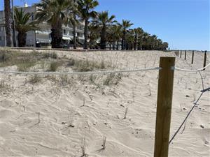 Cubelles prova una tècnica innovadora per a recuperar dunes a la platja de la Mota. Ajuntament de Cubelles