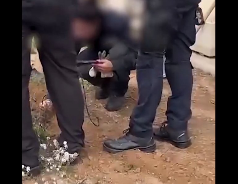 Desarticulada una organització criminal especialitzada en assalts a plantacions de marihuana fent-se passar per policies. Mossos d'Esquadra