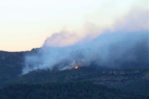 Desenvolupen un servidor web amb geodades i mapes de combustibles per prevenir i gestionar incendis forestals a Europa