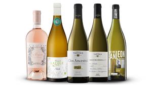 Dos cellers del Penedès  ja compten amb la nova certificació internacional de viticultura regenerativa. EIX