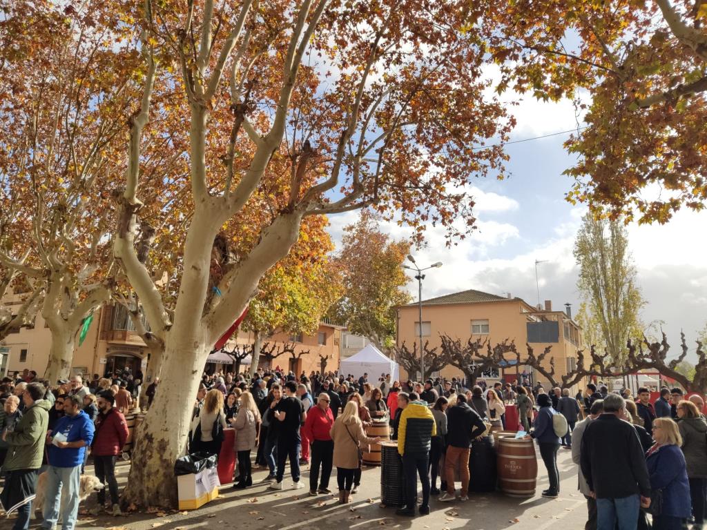 El 19è Subirats Tasta’l arriba a la Capital de la Vinya amb una trentena d'expositors. Ajuntament de Subirats