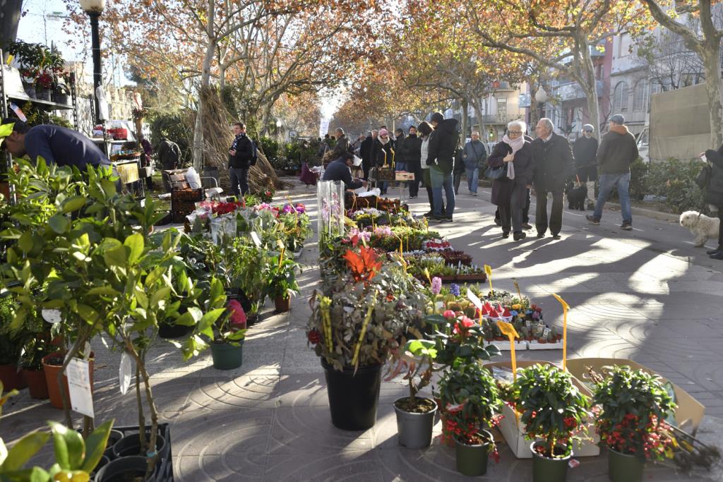 El 6 de gener torna a Igualada la fira més antiga: la Fira de Reis, que va néixer fa 652 anys. EIX