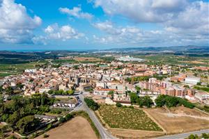 El Baix Penedès presenta més d'un centenar d'al·legacions a l'avantprojecte del Pla Territorial Parcial del Penedès. ACN