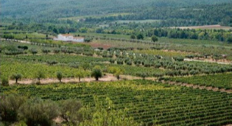 El Govern amplia el període d'exposició pública del Pla Territorial del Penedès. Generalitat de Catalunya