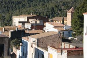 El nucli de Joncosa del Montmell, on hi viuen prop de 200 habitants dels prop de 2.000 que té el municipi 