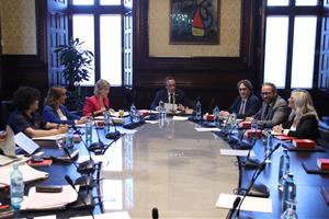 El Parlament activa el mecanisme per poder fer una investidura a l'agost si hi ha candidat. ACN