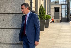 El president del govern espanyol, Pedro Sánchez, arribant a la sessió de control al Congrés dels Diputats. ACN