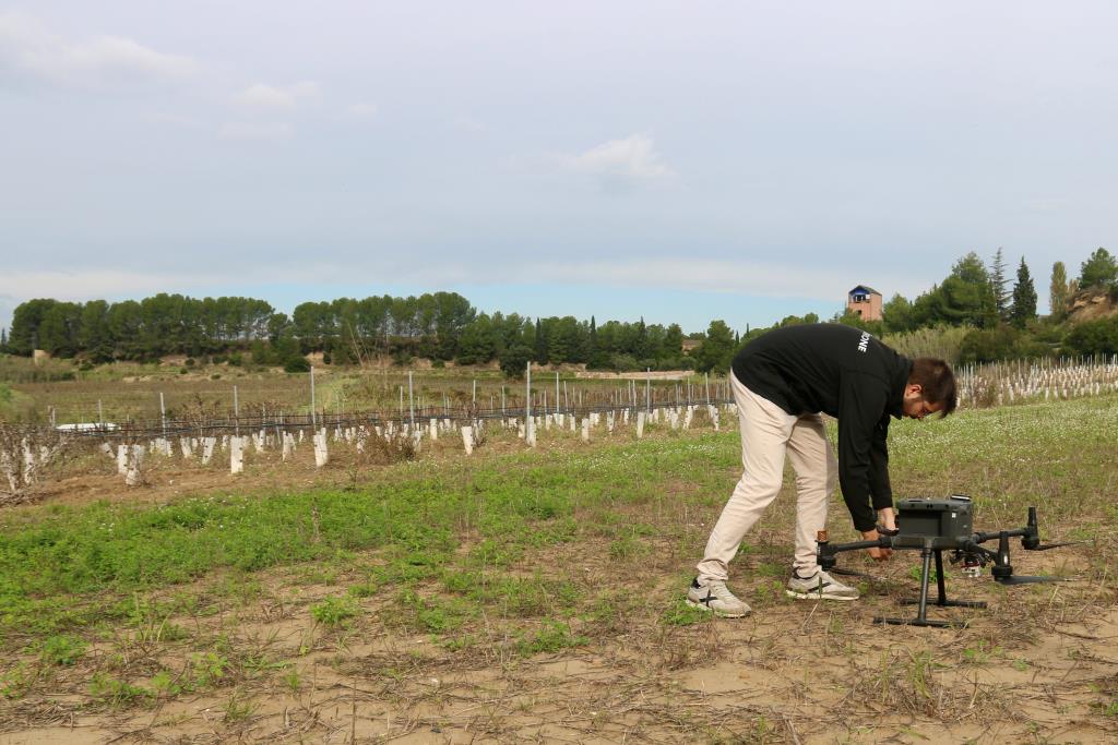 El sector agrari posa a prova l'ús de drons i la teledetecció per a optimitzar el control i seguiment de camps agrícoles. ACN