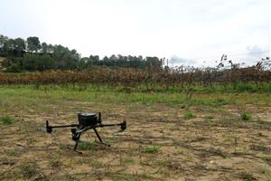 El sector agrari posa a prova l'ús de drons i la teledetecció per a optimitzar el control i seguiment de camps agrícoles