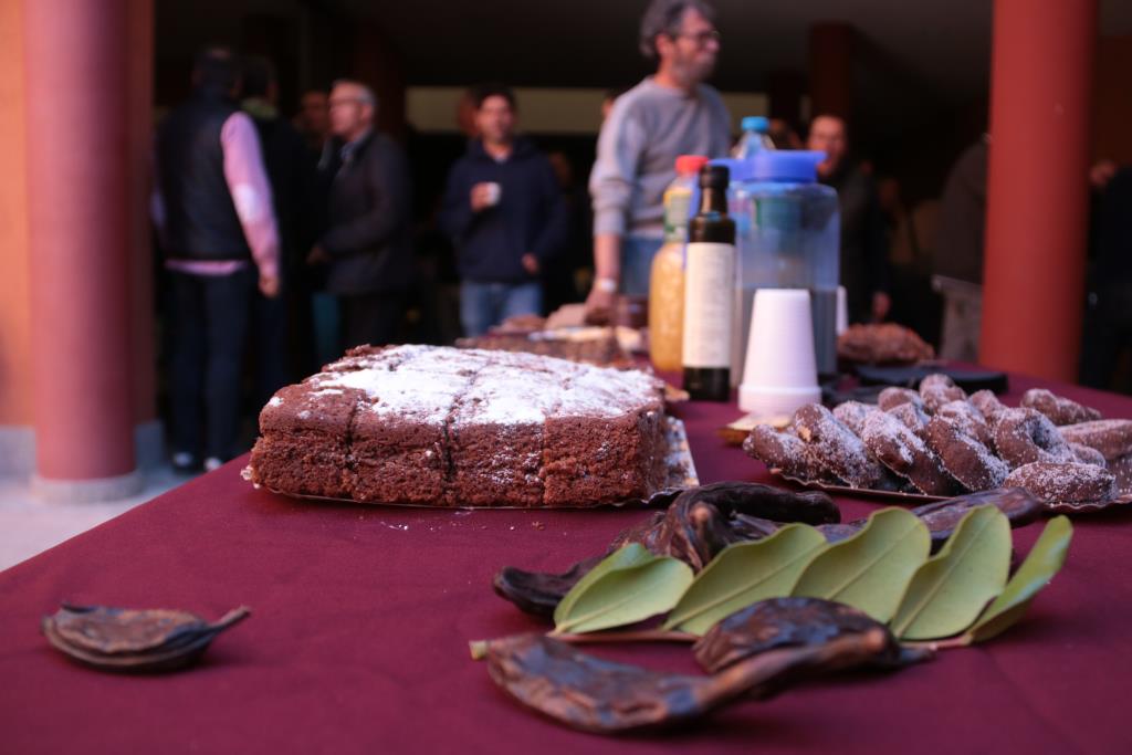 El sector de la garrofa implementa noves tècniques per millorar el conreu arran de la pujada de demanda del fruit. ACN