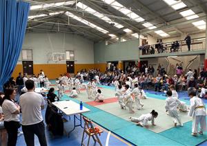 Els judoques de l'Escola de Judo Vilafranca - Vilanova