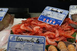 Els pescadors catalans es queixen de falta de transparència i demanen que només s'apliqui la quota de 2025 a qui pesqui. ACN