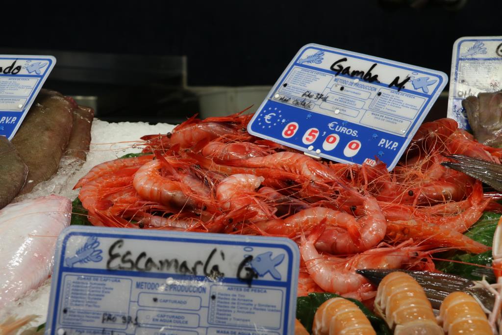 Els pescadors catalans es queixen de falta de transparència i demanen que només s'apliqui la quota de 2025 a qui pesqui. ACN