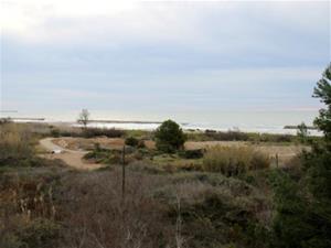 Imatge de la platja Llarga de Vilanova. Ajuntament de Vilanova