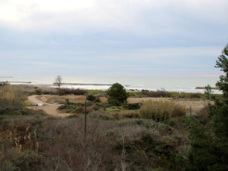 Imatge de la platja Llarga de Vilanova. Ajuntament de Vilanova