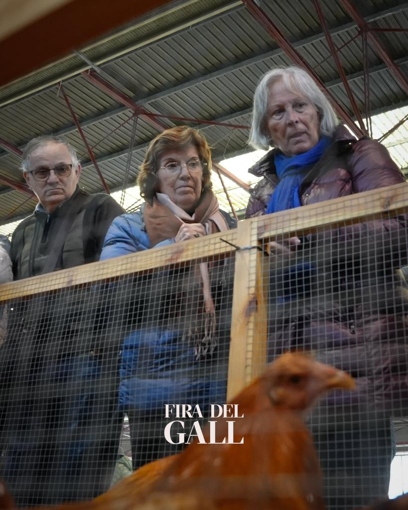 La Fira del Gall tanca una nova edició amb gran afluència de visitants i alta participació del públic local. Fira del Gall