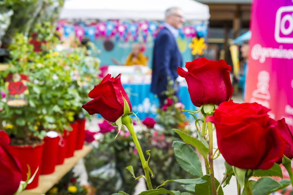 La rambles de Sant Francesc i de Nostra Senyora continuaran sent el centre neuràlgic de la diada de Sant Jordi a Vilafranca. Ajuntament de Vilafranca