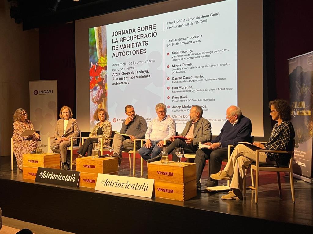 La R+D+I permet recuperar varietats prefil·loxèriques i altres desconegudes fins ara del patrimoni vitivinícola català . INCAVI