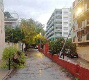L'aiguat ha provocat algunes incidències a Vilanova i la Geltrú com arbres caiguts i talls de llum . Ajuntament de Vilanova