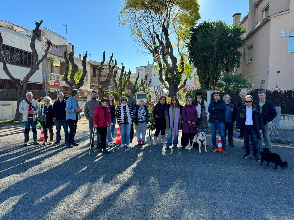 L'Ajuntament de Vilanova i la Geltrú ordena la tala de 102 arbres de més de 40 anys al barri de La Bòbila sense fer-ne un estudi previ. EIX