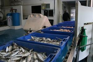 Les Confraries de Pescadors critiquen l'acord de la CE sobre la pesca. ACN