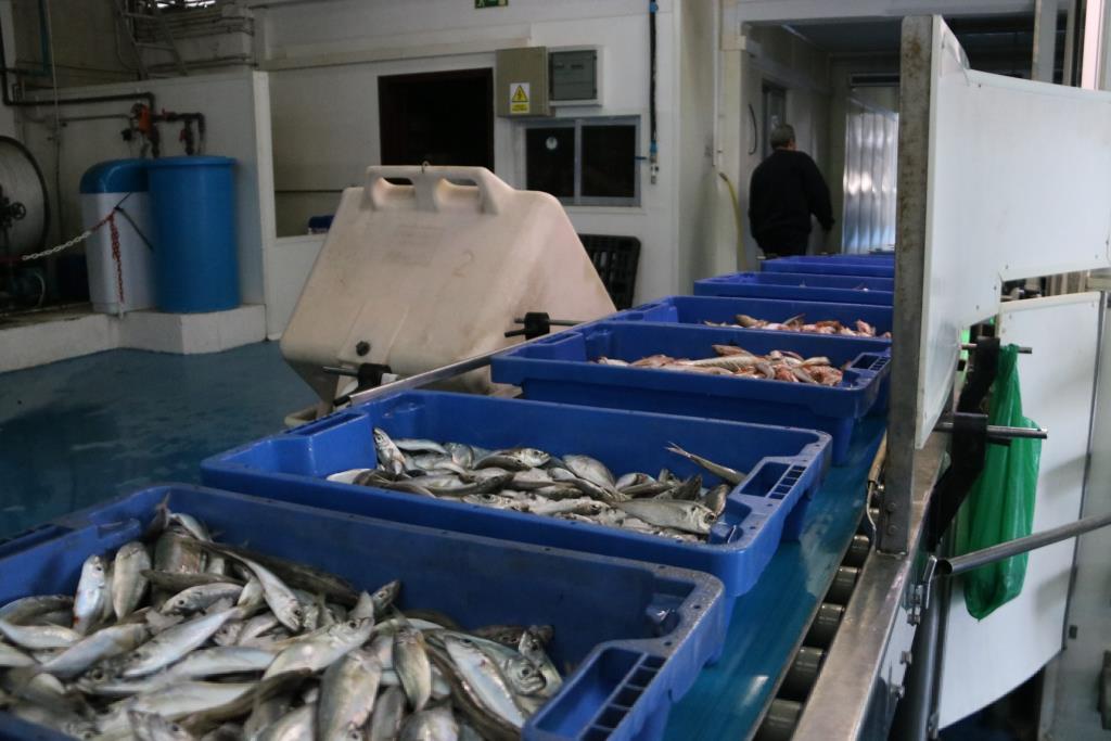 Les Confraries de Pescadors critiquen l'acord de la CE sobre la pesca. ACN