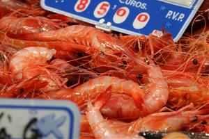 L'Estat accepta reobrir la pesca de gamba a compte de la quota del 2025 i descomptar-ho de forma individual. ACN