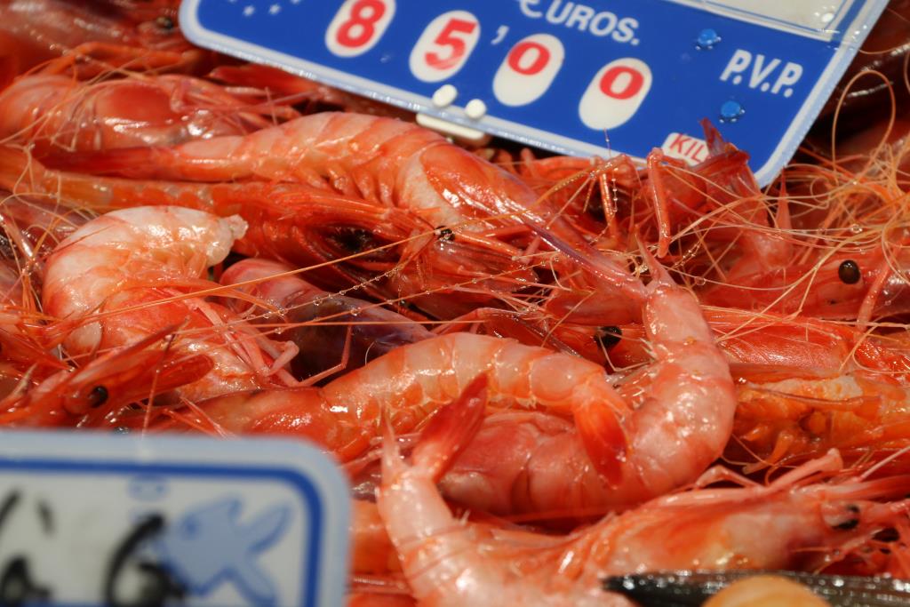 L'Estat accepta reobrir la pesca de gamba a compte de la quota del 2025 i descomptar-ho de forma individual. ACN