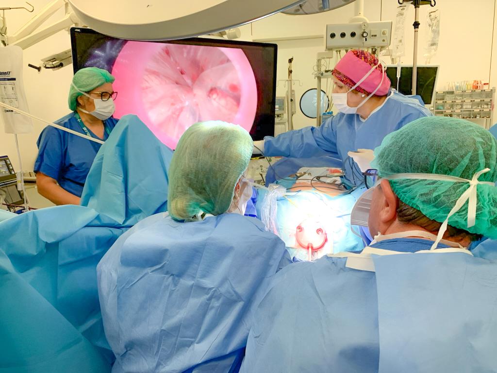 L’Hospital d’Igualada incorpora una nova tècnica per a les cirurgies de ginecologia: la laparoscòpia per via vaginal. EIX