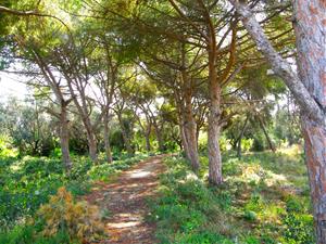 L’Ortoll, un parc natural i agrari. APMA