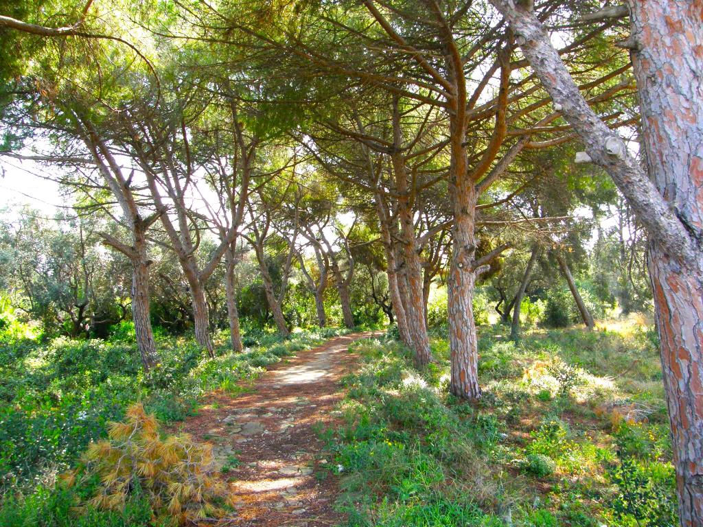 L’Ortoll, un parc natural i agrari. APMA