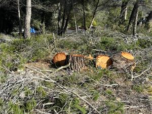 Noves actuacions a les franges forestals per a la prevenció d'incendis a Canyelles. Ajuntament de Canyelles