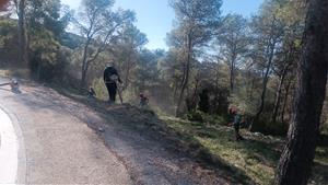 Noves actuacions a les franges forestals per a la prevenció d'incendis a Canyelles