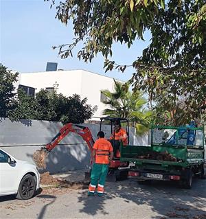 Plantaran més de 300 arbres en una nova campanya de plantació aquest hivern a Vilafranca